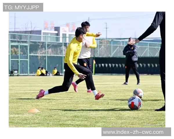 足球小子百网盘带你畅游足球世界尽享精彩赛事与互动体验